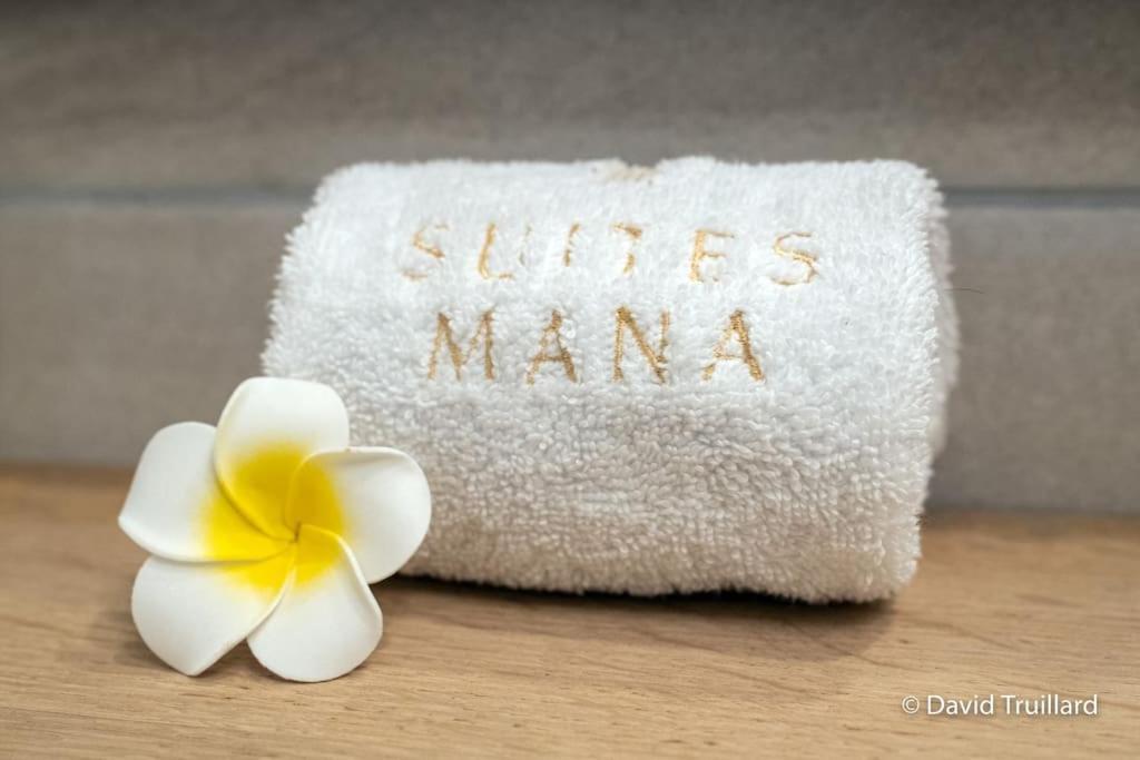 Suites Mana - Matahina Avec Vue Superbe Sur La Place Ducale Et Parking Prive Inclus Charleville-Mézières Εξωτερικό φωτογραφία